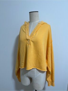 Aerie Hooded Pullover
